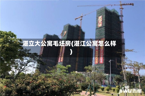 湛立大公寓毛坯房(湛江公寓怎么样)