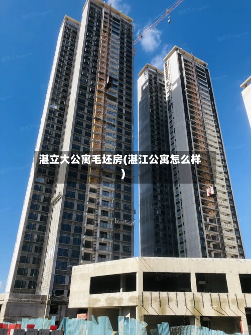 湛立大公寓毛坯房(湛江公寓怎么样)-第3张图片