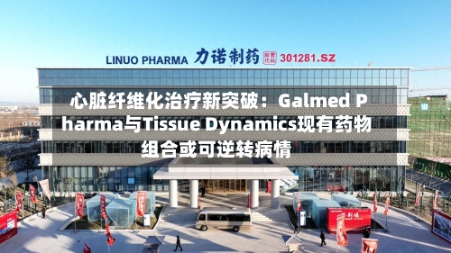 心脏纤维化治疗新突破：Galmed Pharma与Tissue Dynamics现有药物组合或可逆转病情-第3张图片