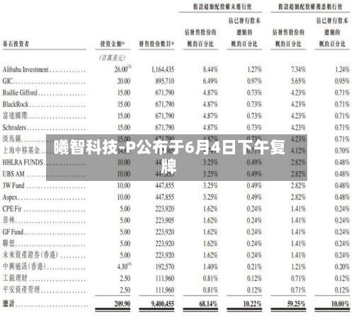 曦智科技-P公布于6月4日下午复牌-第2张图片