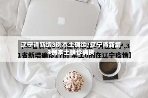 辽宁省新增3例本土确诊/辽宁省新增3例本土确诊病例