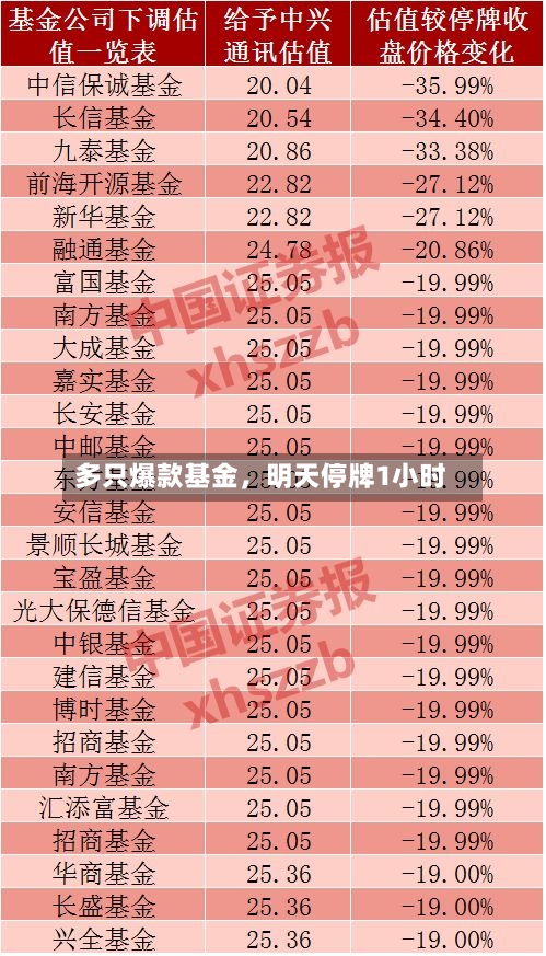 多只爆款基金，明天停牌1小时-第3张图片