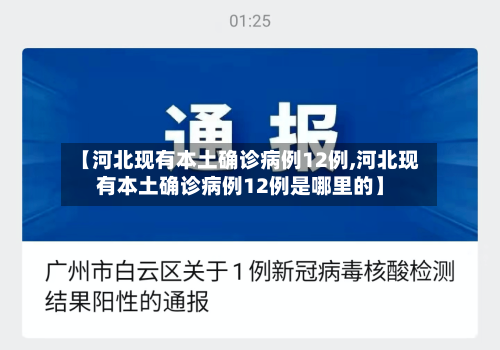 【河北现有本土确诊病例12例,河北现有本土确诊病例12例是哪里的】-第2张图片