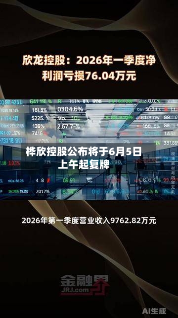 桦欣控股公布将于6月5日上午起复牌-第2张图片